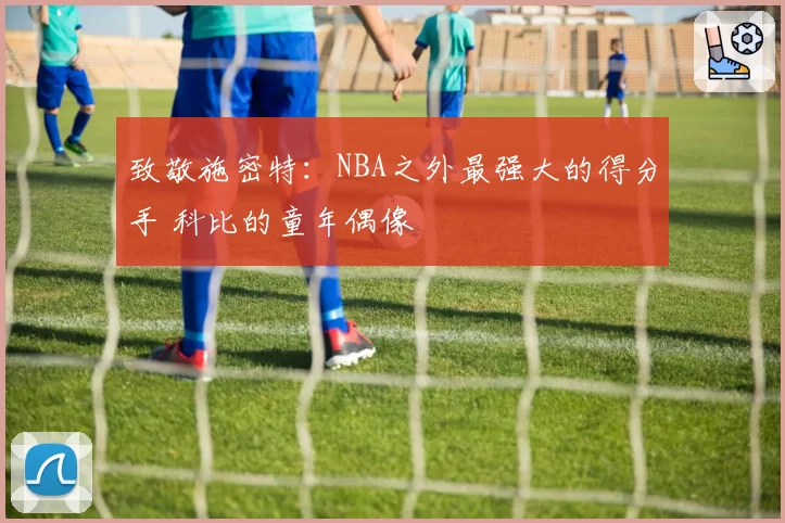 致敬施密特：NBA之外最强大的得分手 科比的童年偶像