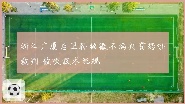浙江广厦后卫孙铭徽不满判罚怒吼裁判 被吹技术犯规