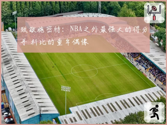 致敬施密特：NBA之外最强大的得分手 科比的童年偶像