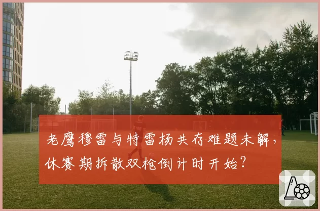 老鹰穆雷与特雷杨共存难题未解,休赛期拆散双枪倒计时开始?