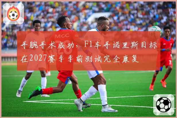 手腕手术成功，F1车手诺里斯目标在2027赛季季前测试完全康复